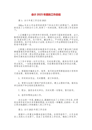 会计2025年度的工作总结