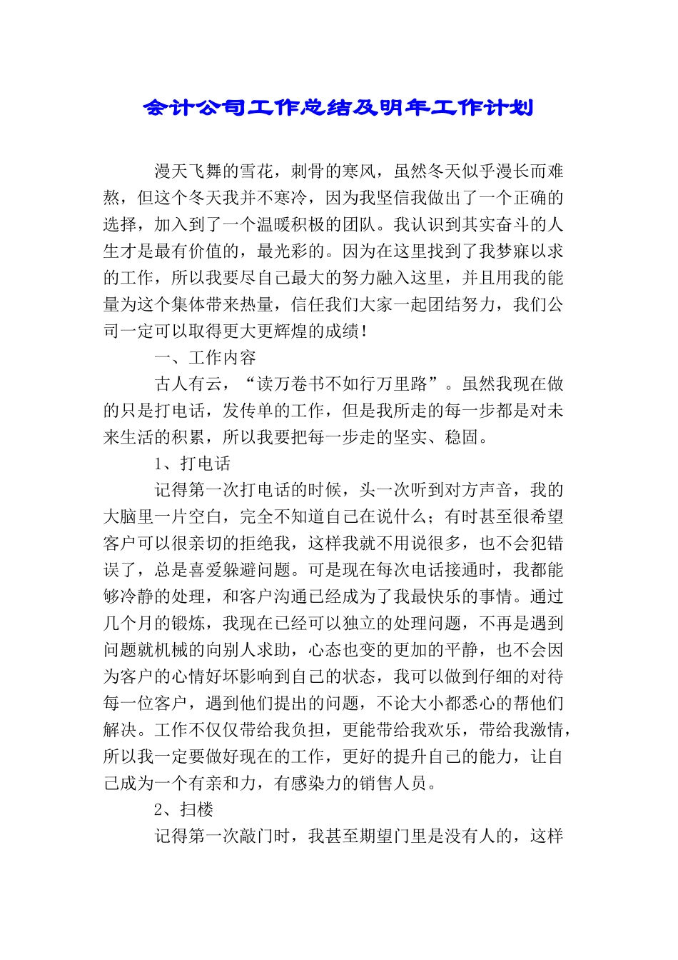 会计公司工作总结及明年工作计划_第1页