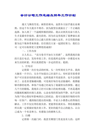 会计公司工作总结及明年工作计划