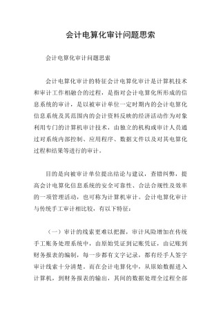 会计电算化审计问题思索