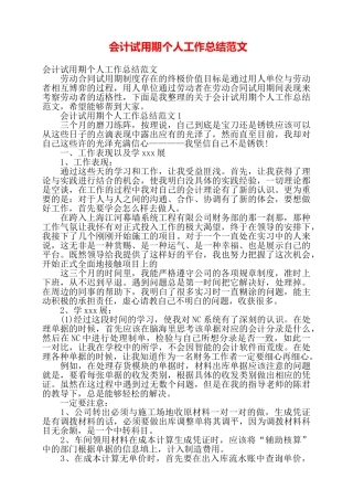 会计试用期个人工作总结范文——