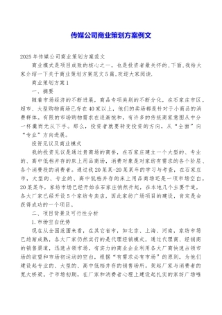 传媒公司商业策划方案例文