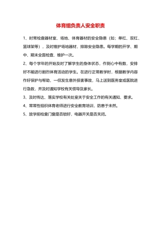 体育组负责人安全职责—