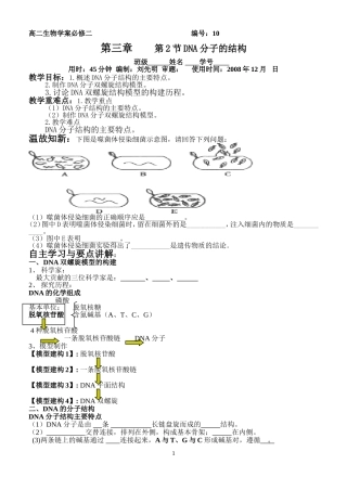 基因的本质2