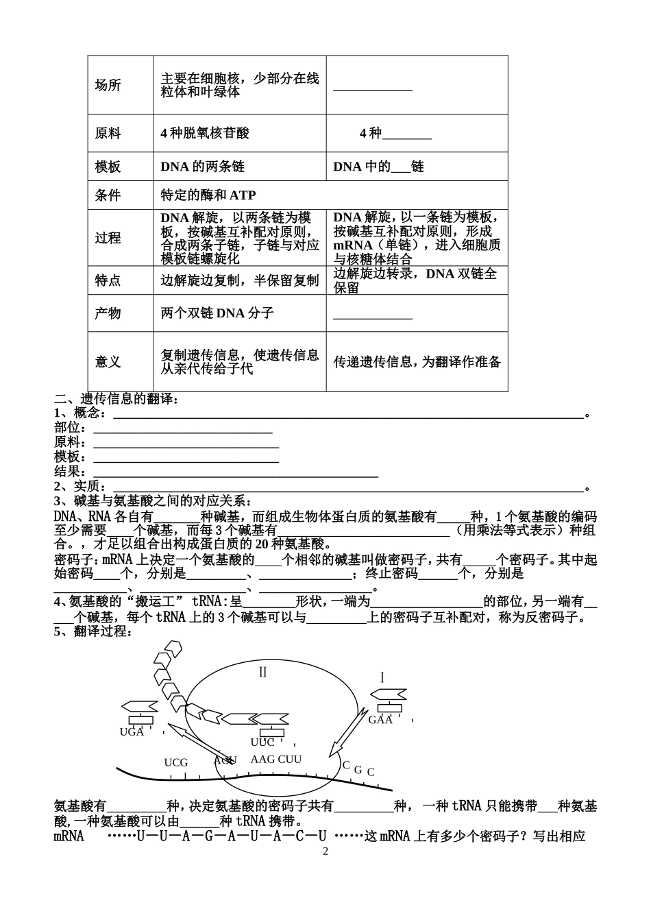 基因的表达1_第2页