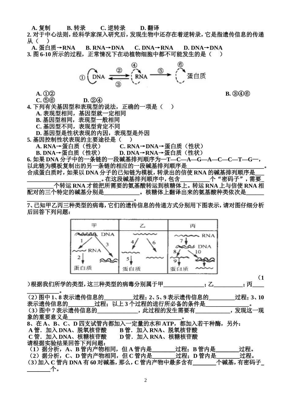 基因的表达2_第2页