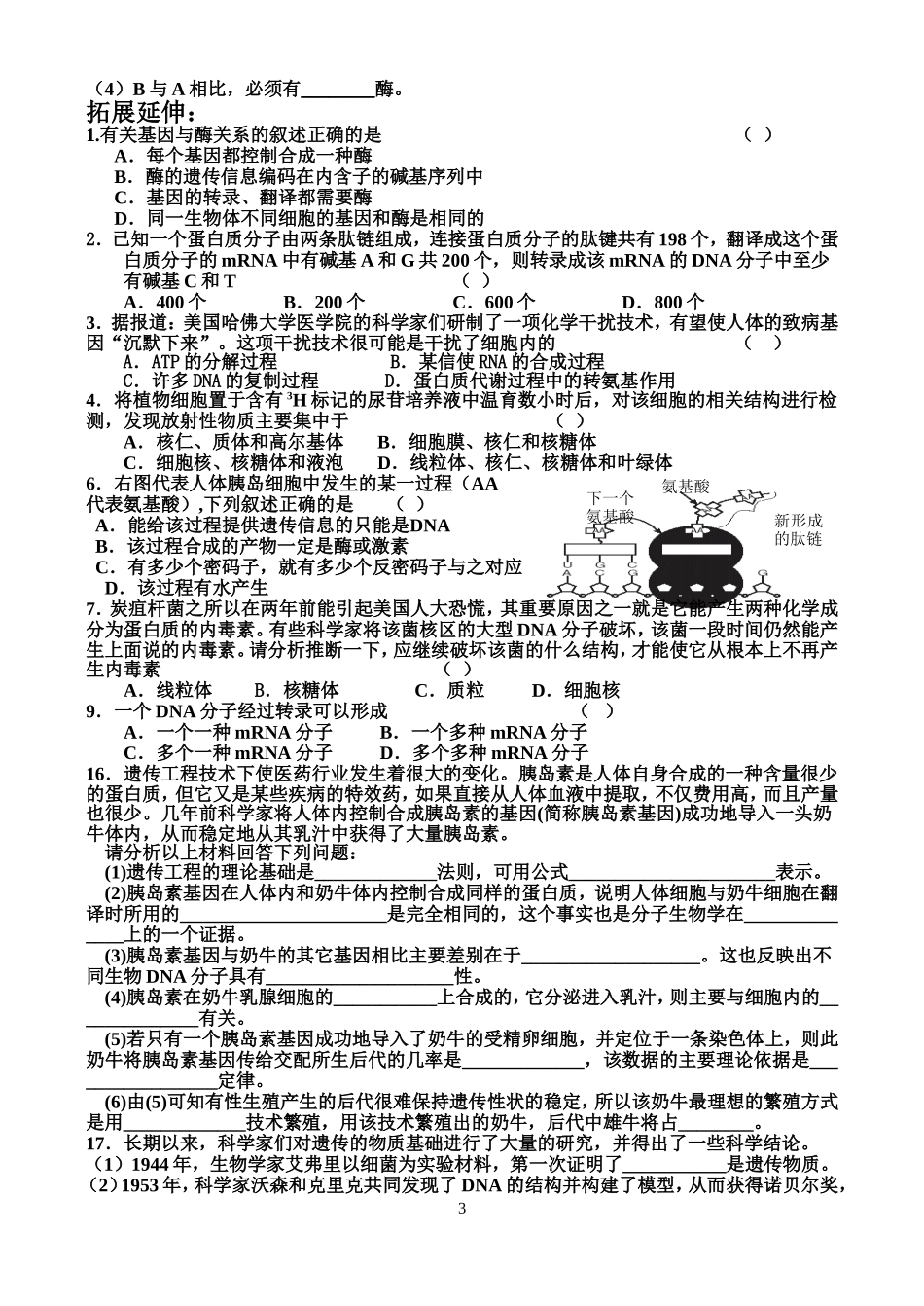 基因的表达2_第3页