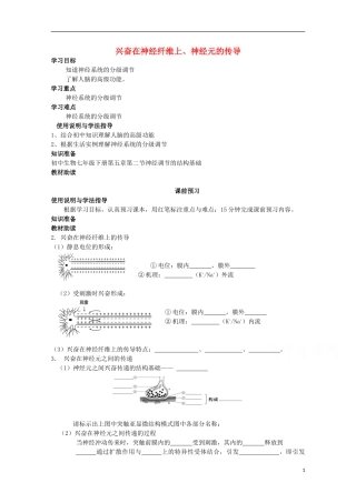 四川省岳池县第一中学2014-2015学年高中生物 第2章 第1节 第2课时 兴奋在神经纤维上、神经元的传导学案 新人教版必修3