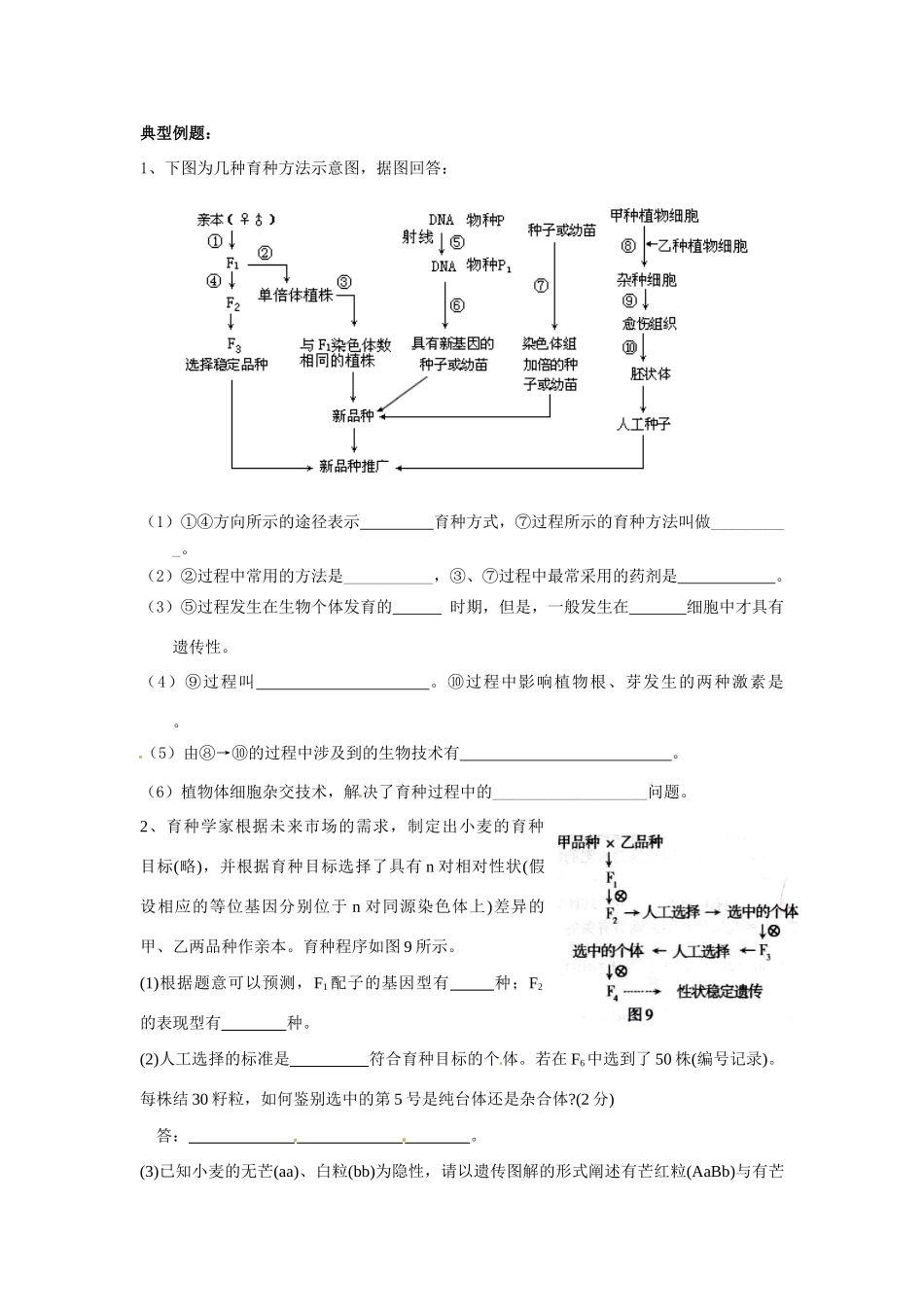 四川省遂宁二中2014高中生物 第6章 从杂交育种到基因工程课堂设计 新人教版必修2_第3页