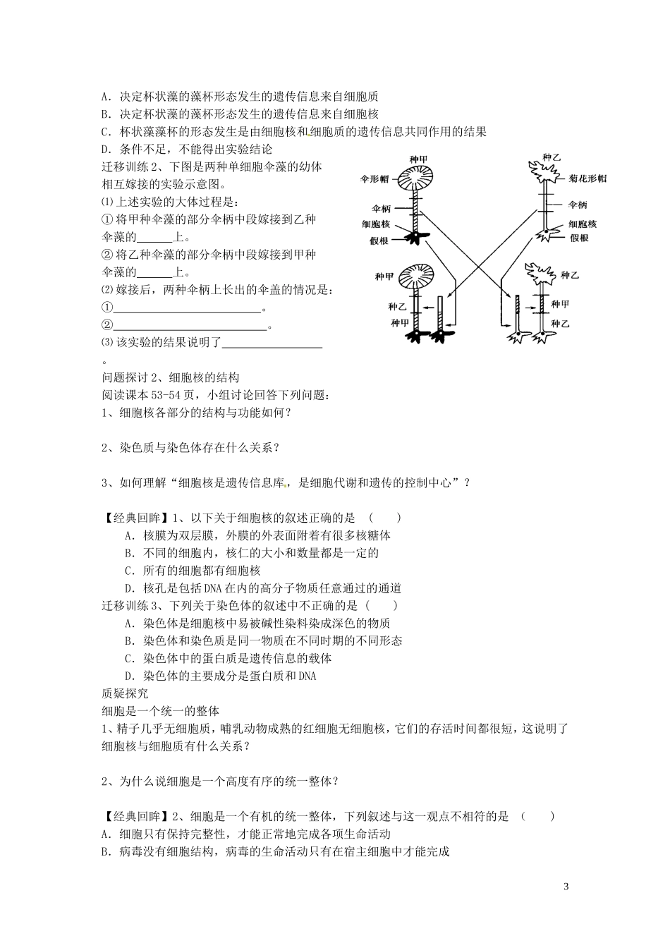四川省岳池县第一中学2014高中生物 第3章 第3节 细胞核 系统的控制中心学案 新人教版必修1_第3页