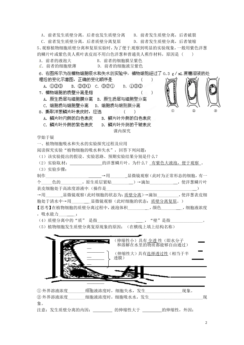 四川省岳池县第一中学2014高中生物 第4章 第1节（第2课时）植物细胞吸水和失水实验学案 新人教版必修1_第2页
