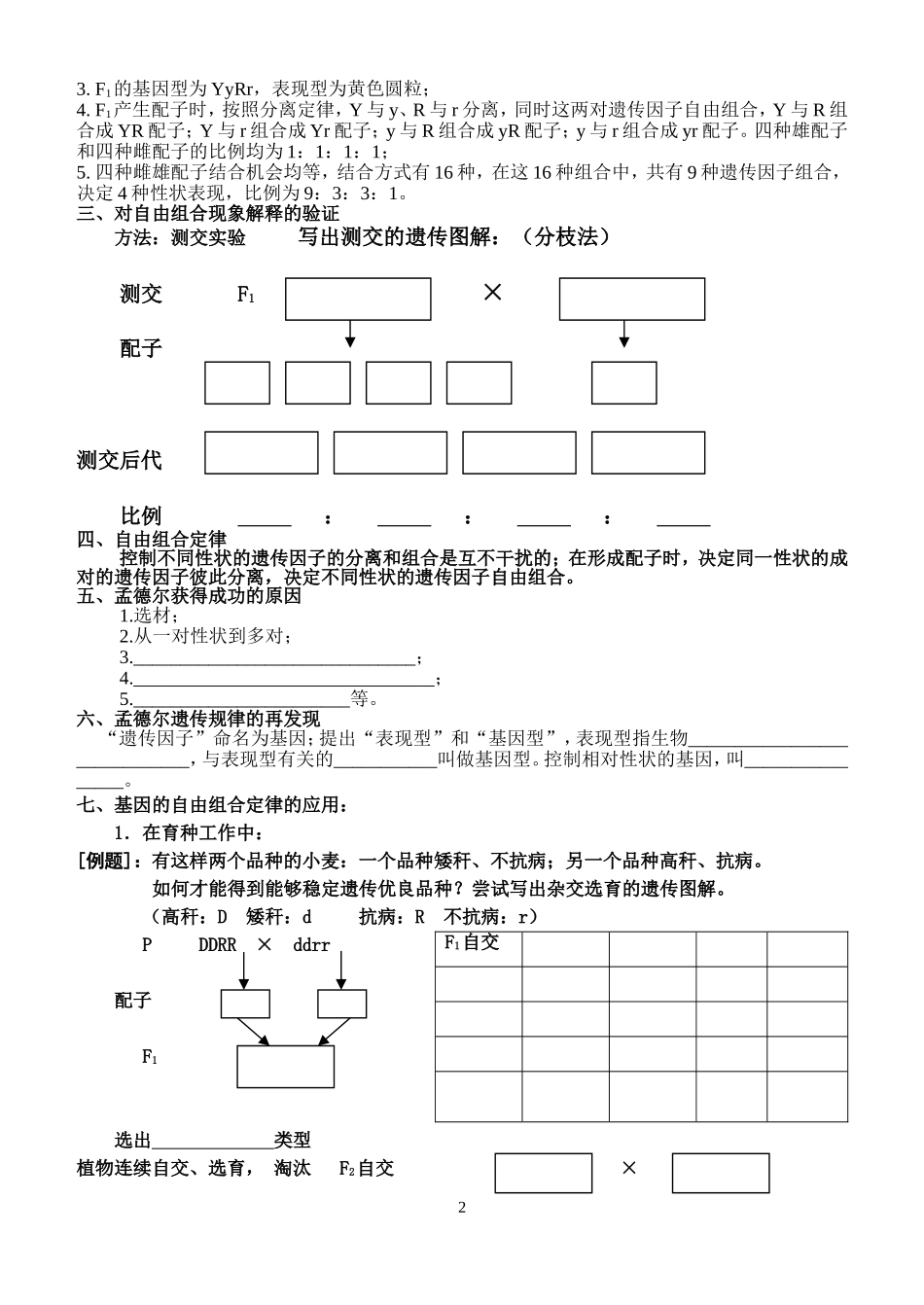 孟德尔的豌豆杂交实验（二）_第2页