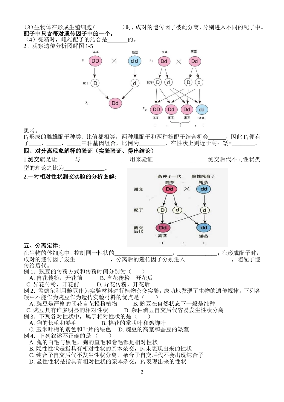孟德尔的豌豆杂交实验（一）_第2页