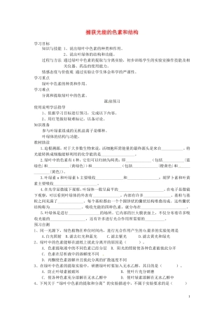 四川省岳池县第一中学2014高中生物 第5章 第4节（第1课时）捕获光能的色素和结构学案 新人教版必修1
