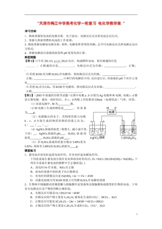 天津市梅江中学高考化学一轮复习 电化学教学案 