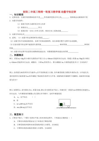 射阳二中高三物理一轮复习教学案 动量守恒定律