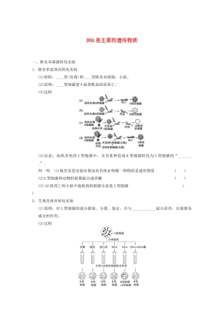 寿县安丰中学2013届高三生物一轮复习 第六单元 DNA是主要的遗传物质教案