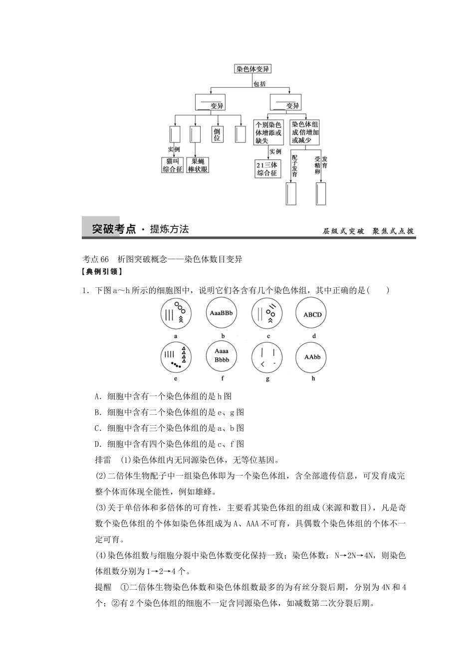 寿县安丰中学2013届高三生物一轮复习 第七单元 染色体变异教案_第3页