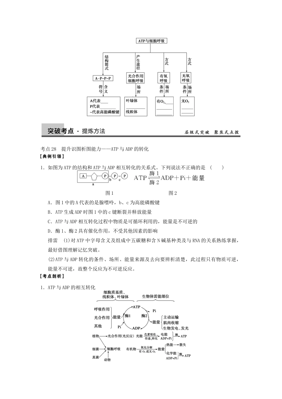 寿县安丰中学2013届高三生物一轮复习 第三单元 细胞的能量“通货”—ATP教案_第3页