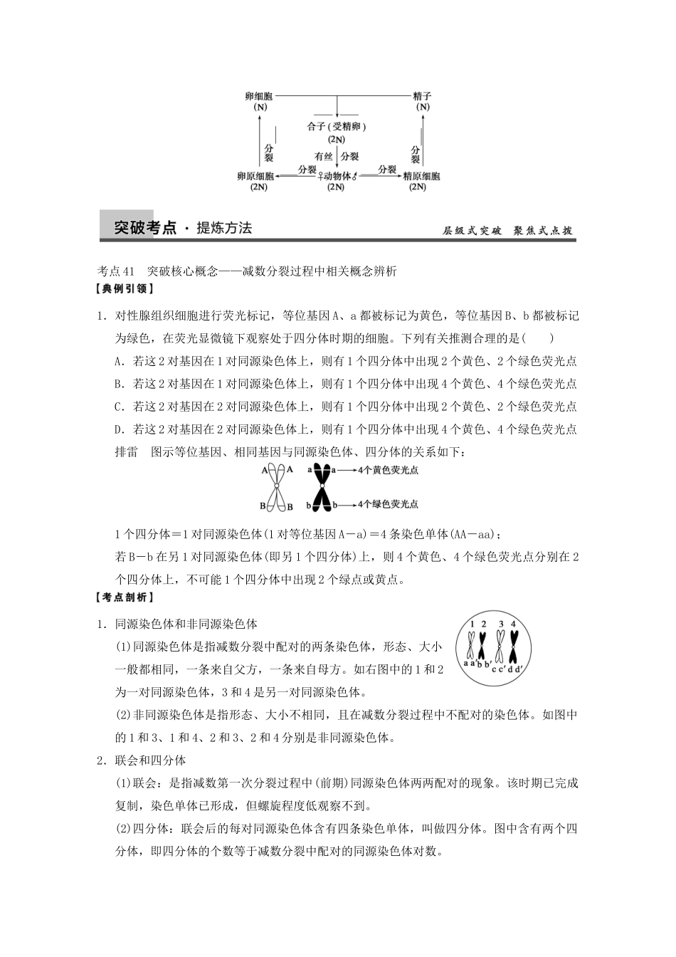 寿县安丰中学2013届高三生物一轮复习 第四单元 减数分裂和受精作用教案_第3页
