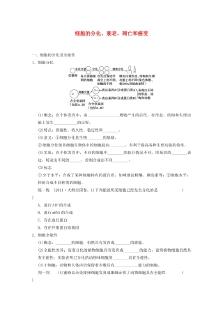 寿县安丰中学2013届高三生物一轮复习 第四单元 细胞的分化、衰老、凋亡和癌变教案