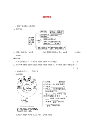 寿县安丰中学2013届高三生物一轮复习 第四单元 细胞增殖教案