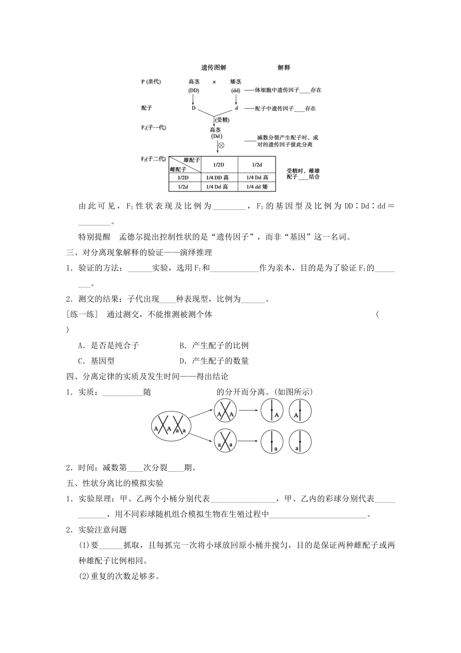 寿县安丰中学2013届高三生物一轮复习 第五单元 孟德尔的豌豆杂交实验一教案_第2页