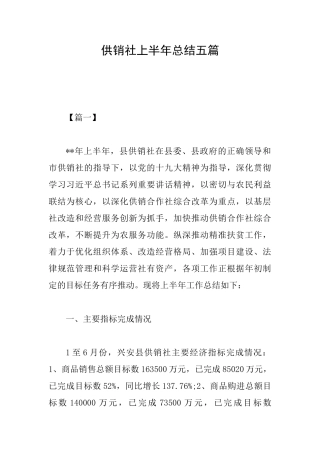 供销社上半年总结五篇