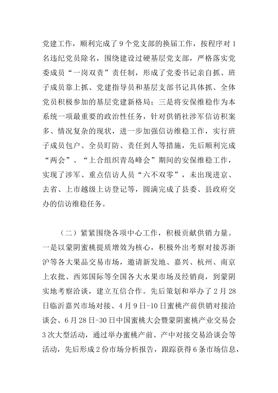 供销社年度工作总结3篇供参考_第2页