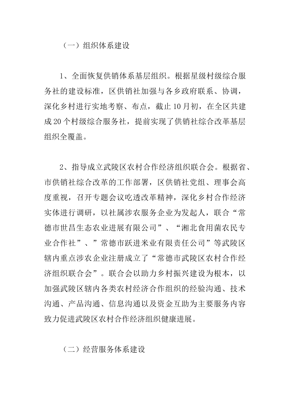 供销社年度工作总结四篇0_第2页