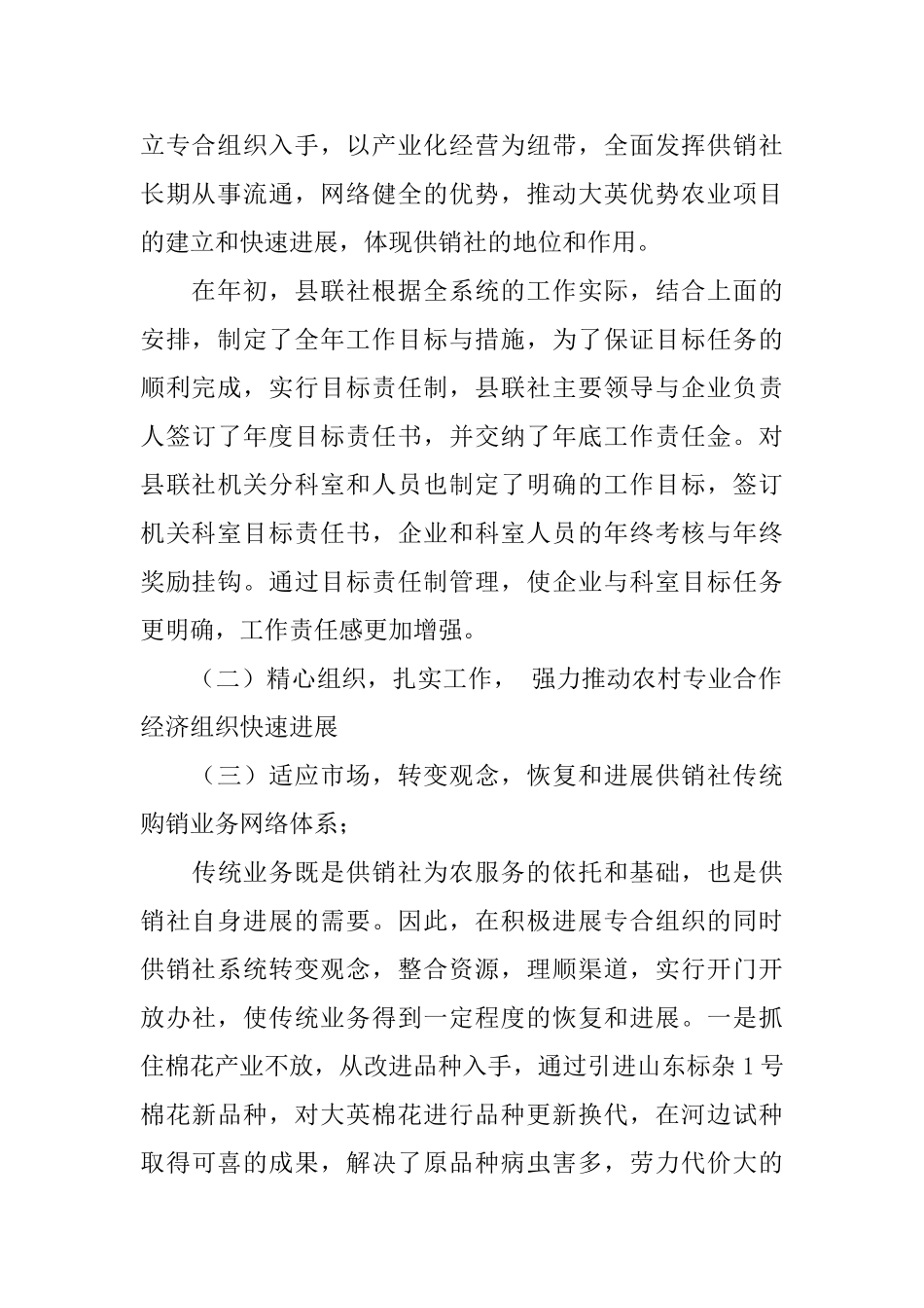 供销社领导班子述职报告范文_第2页