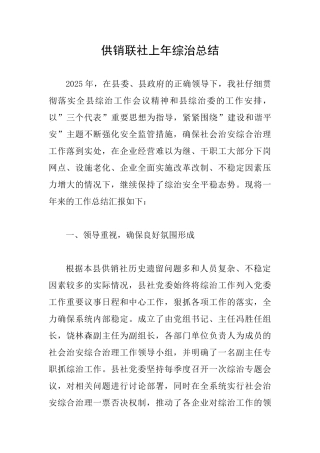 供销联社上年综治总结