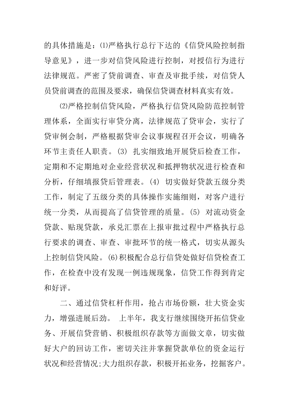 信贷客户经理年度总结_第2页