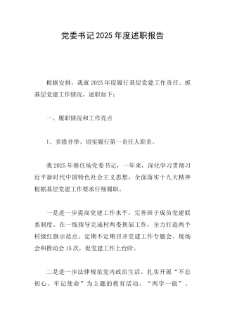 党委书记2025年度述职报告
