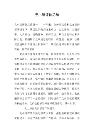 党小组评价总结