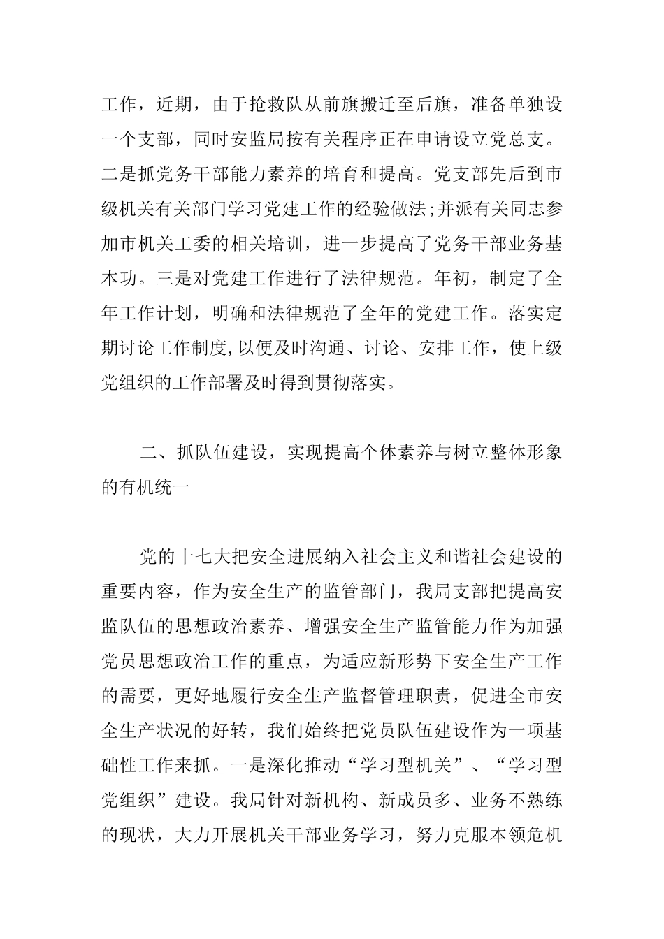 党建个人工作总结模板三篇_第2页