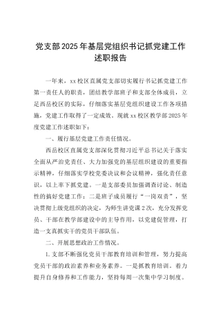 党支部2025年基层党组织书记抓党建工作述职报告