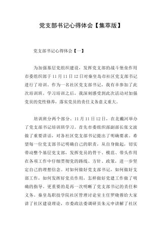 党支部书记心得体会