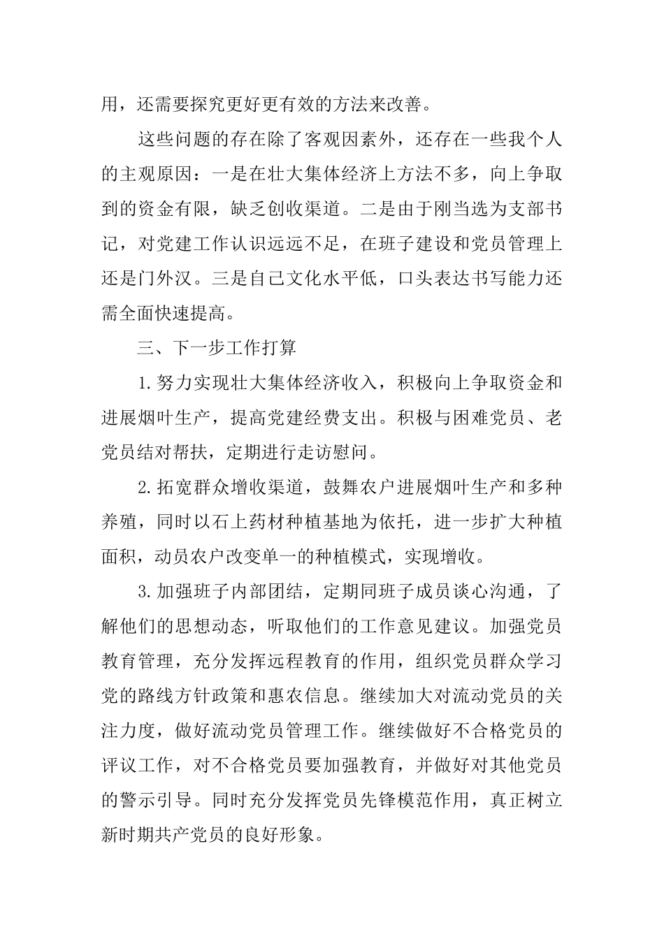 党支部书记述职述廉报告2000字_第3页