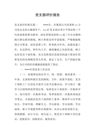 党支部评价报告