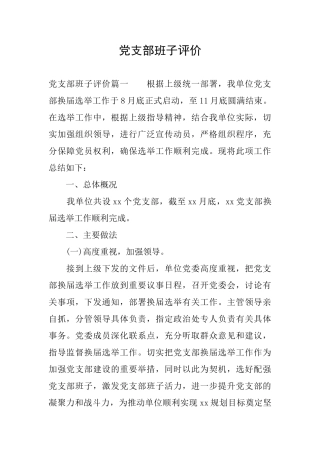 党支部班子评价