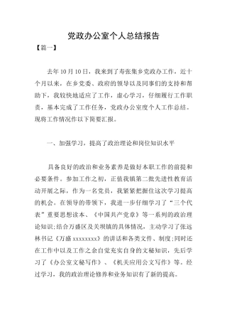 党政办公室个人总结报告