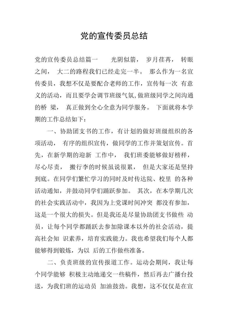 党的宣传委员总结_第1页