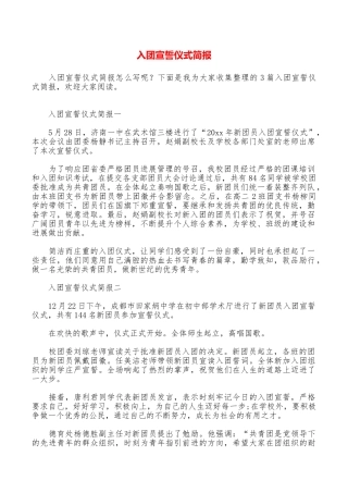 入团宣誓仪式简报
