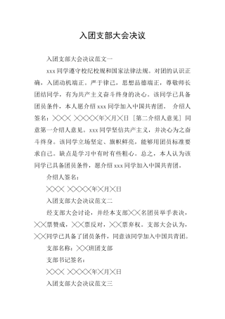 入团支部大会决议