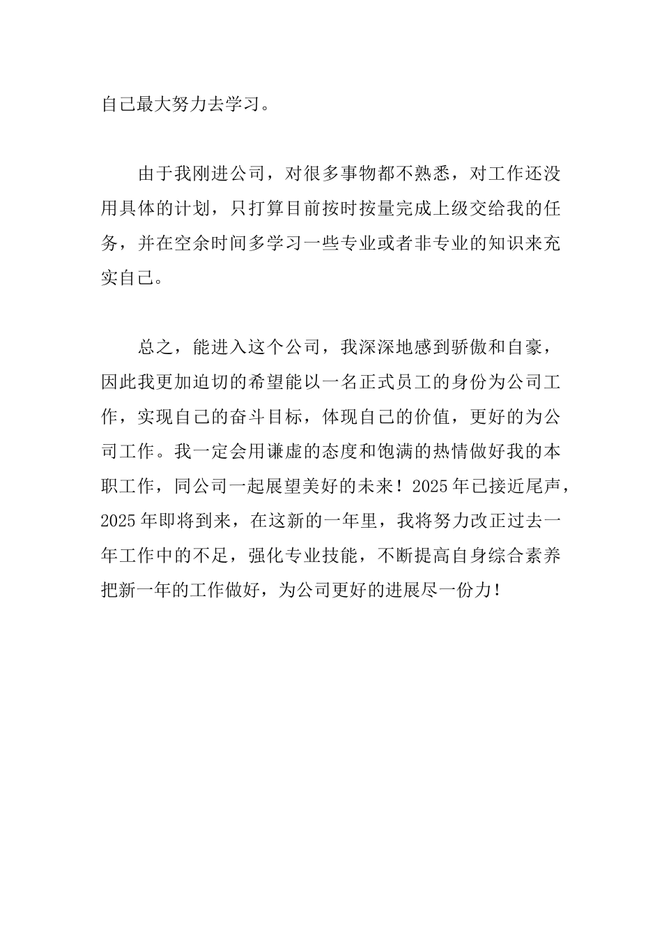 入职新人工作总结_第3页