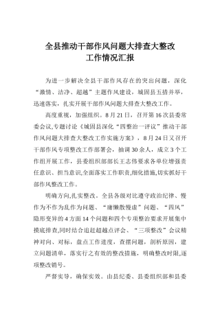 全县推进干部作风问题大排查大整改工作情况汇报