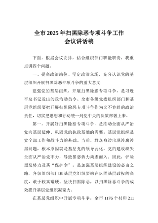 全市2025年扫黑除恶专项斗争工作会议讲话稿