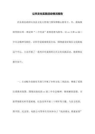 公共文化实践活动情况报告