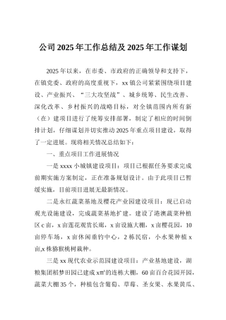 公司2025年工作总结及2025年工作谋划